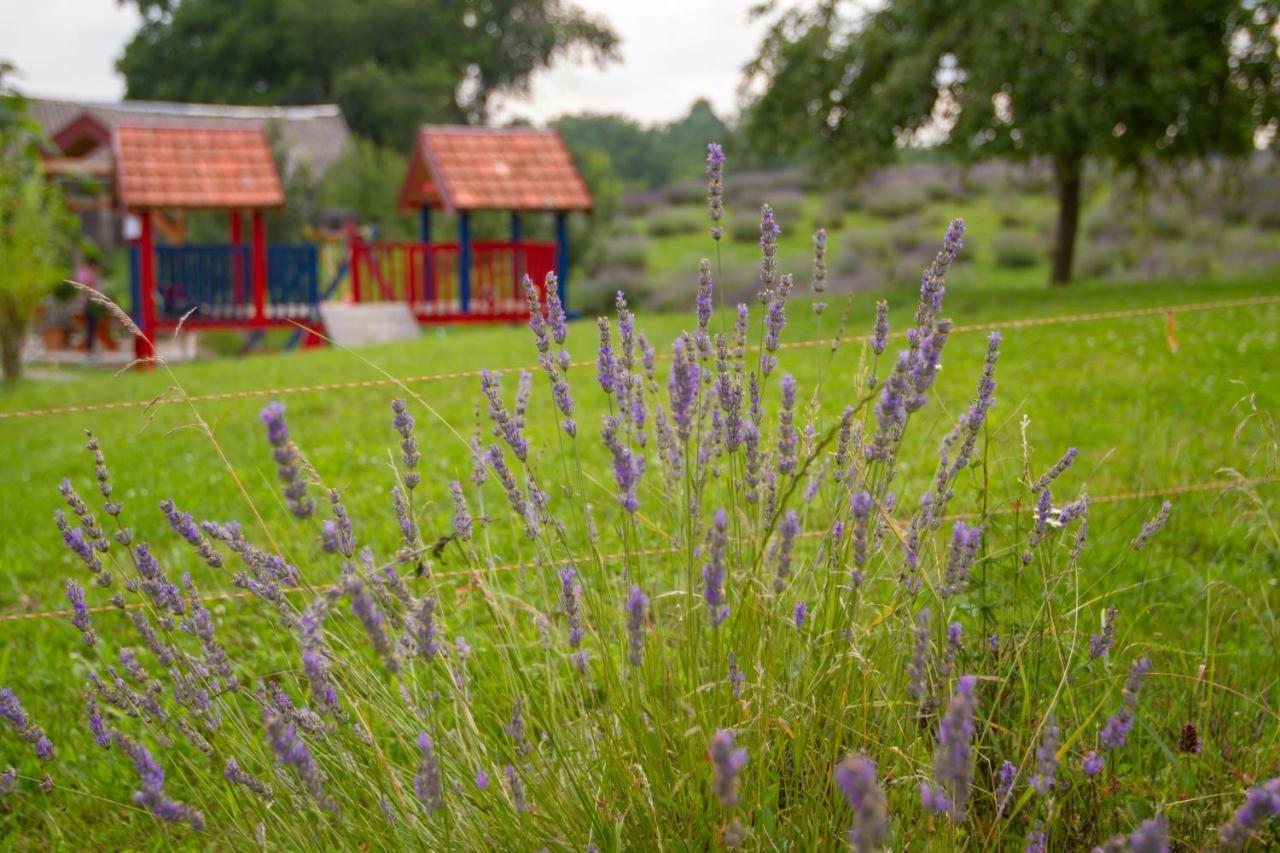 Lavanda Farm Apartmani Раковица Екстериор снимка
