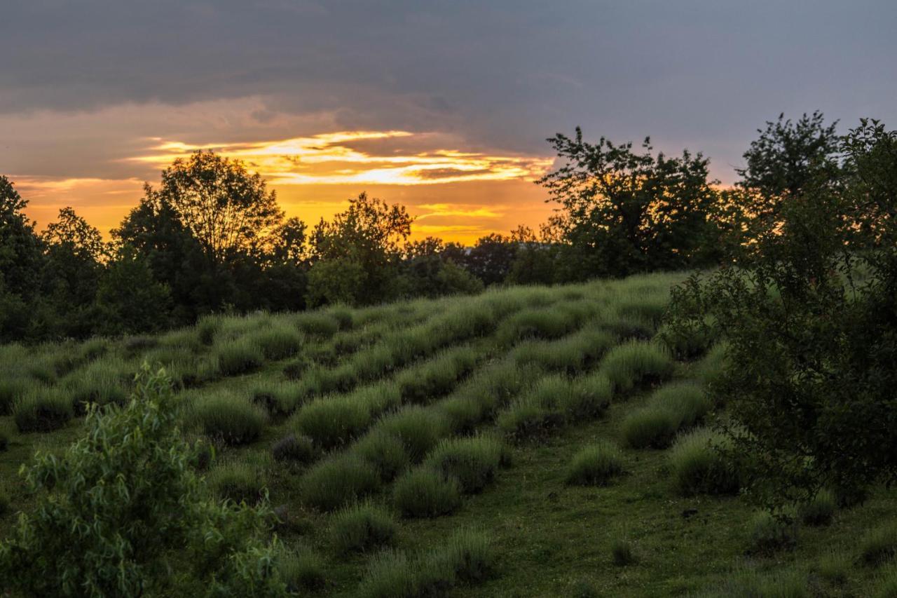 Lavanda Farm Apartmani Раковица Екстериор снимка