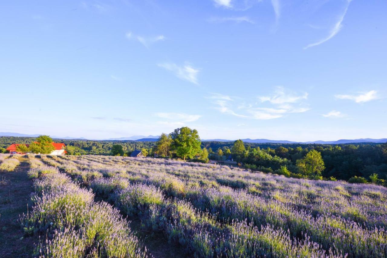 Lavanda Farm Apartmani Раковица Екстериор снимка