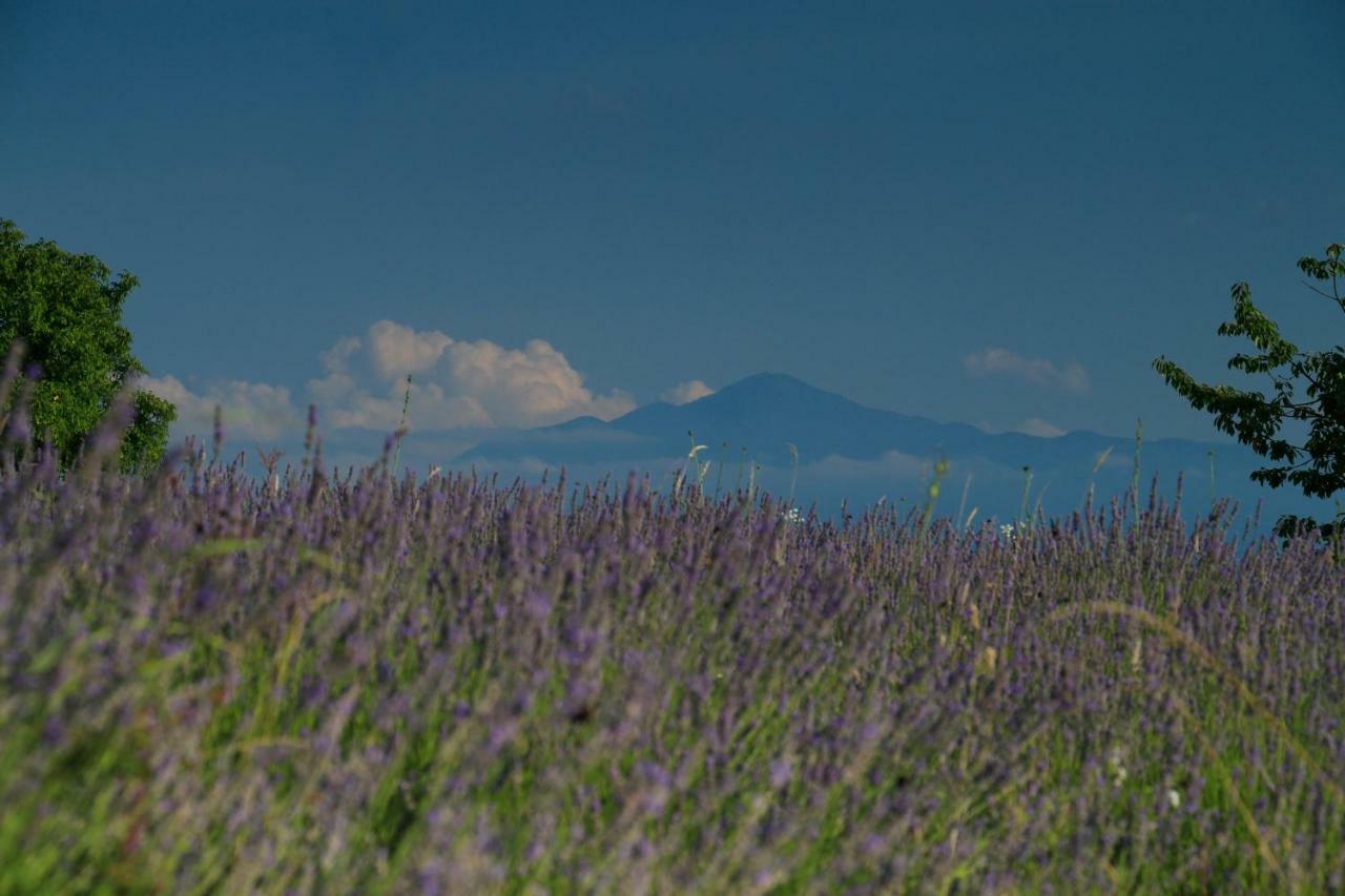 Lavanda Farm Apartmani Раковица Екстериор снимка