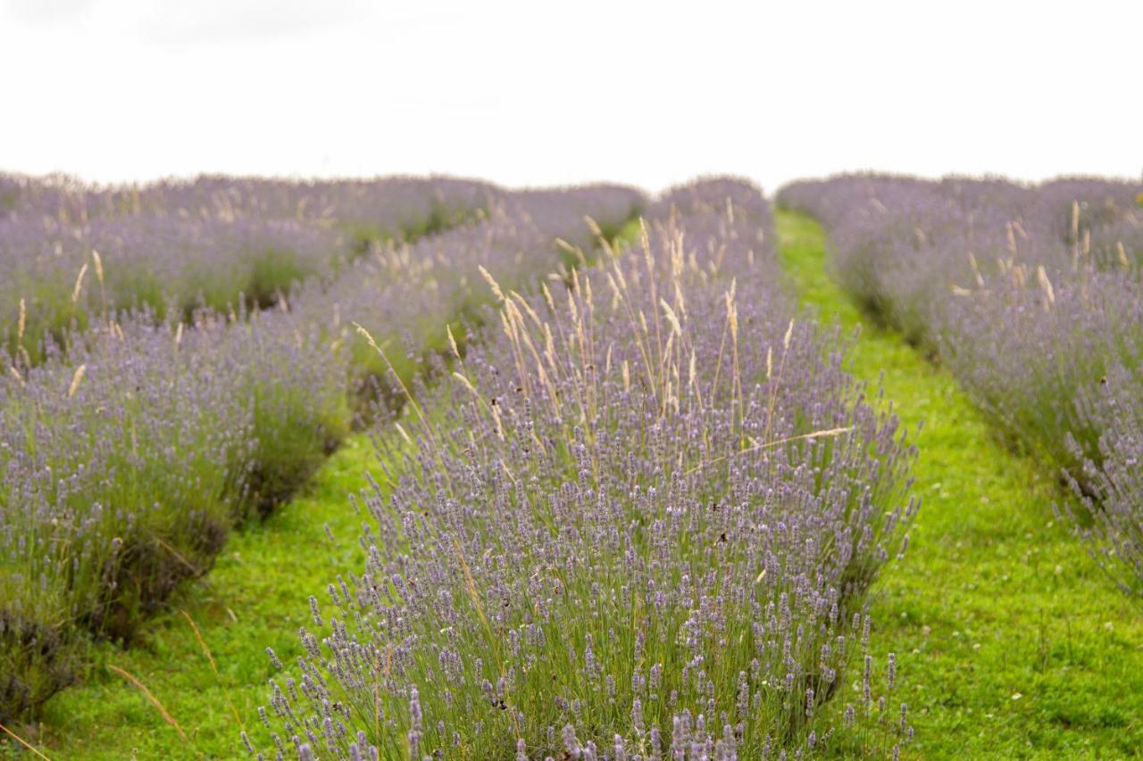 Lavanda Farm Apartmani Раковица Екстериор снимка