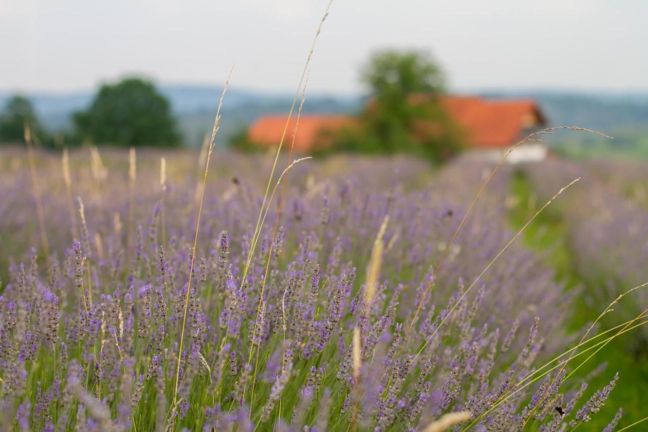 Lavanda Farm Apartmani Раковица Екстериор снимка